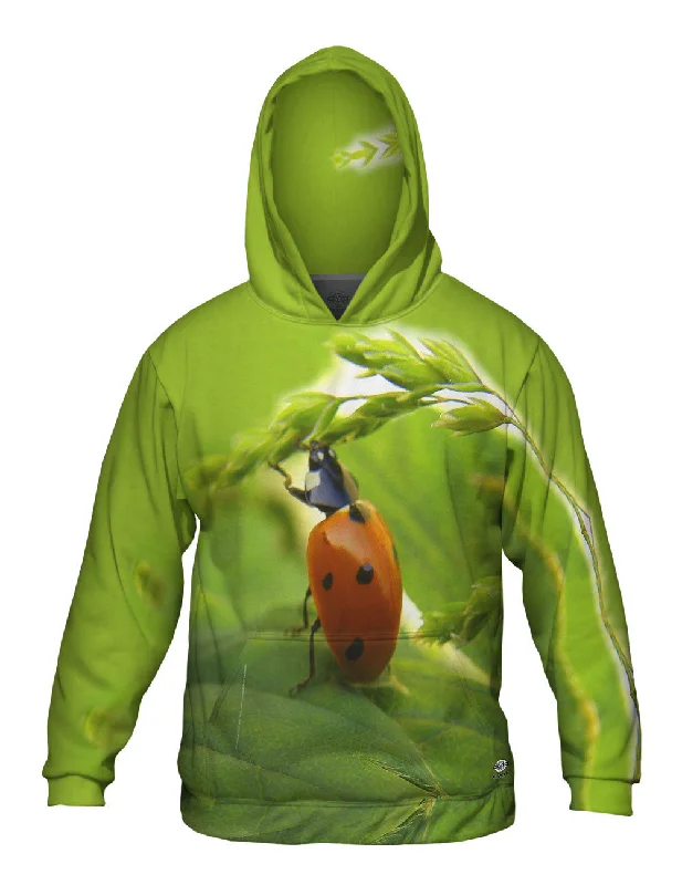 Hoodie-Travel-Pull Ups Ladybug