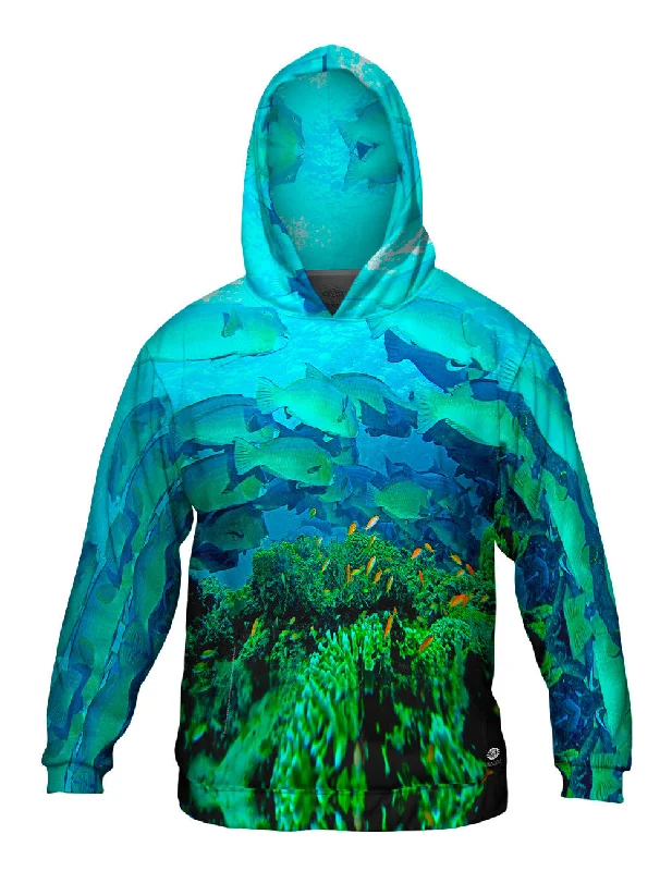 Hoodie-Slim-Fit-Bumphead Parrotfish Underwater