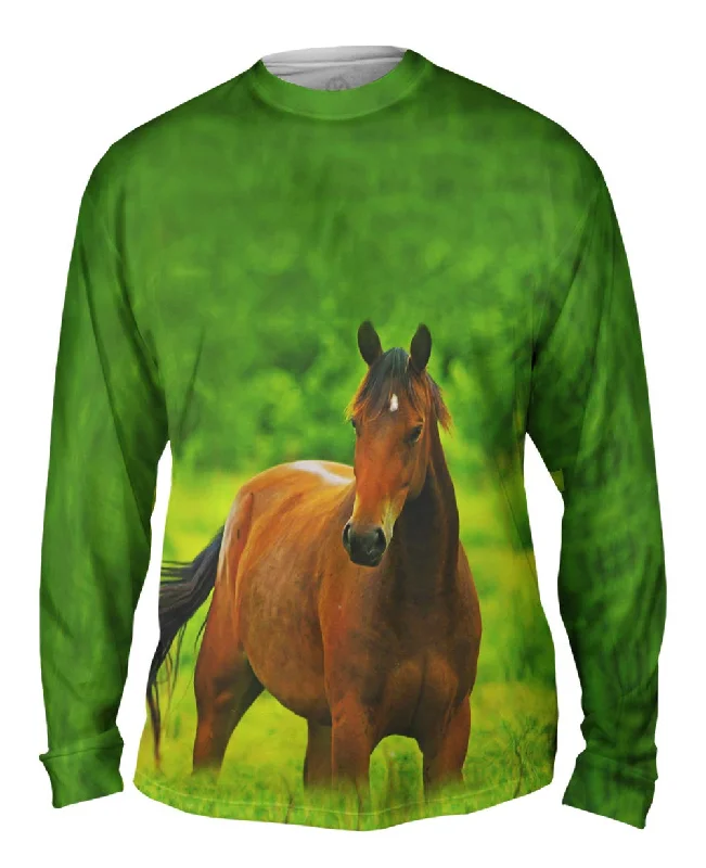 Long-Sleeve-Purple-Boundless Horse