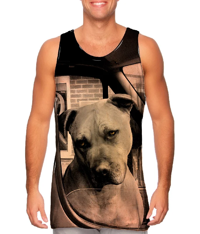 Tank-Top-Punk-Driving Boxer Dog