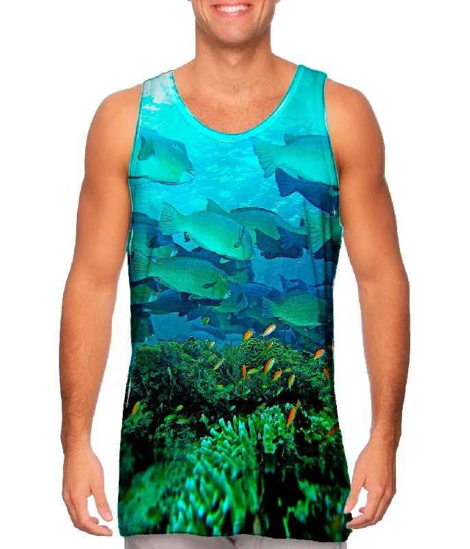 Tank-Top-Green-Bumphead Parrotfish Underwater