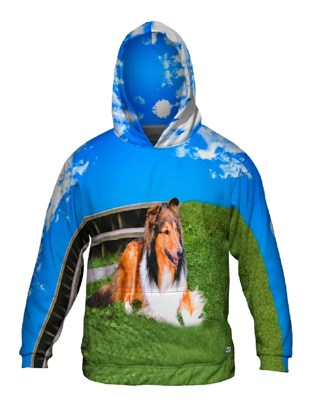 Hoodie-Oversized-Blue Sky Collie