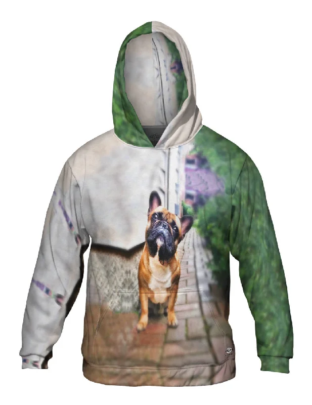 Hoodie-Skateboarding-Whats That French Bulldog