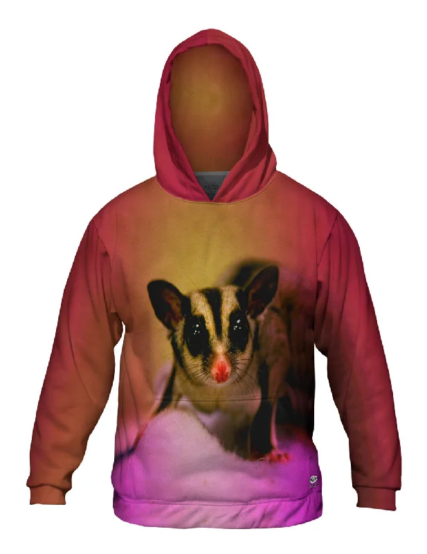 Hoodie-Hip-Hop-Blanket Sugar Glider