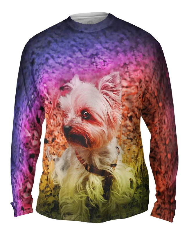 Long-Sleeve-Raglan-Yorkshire Terrier Puppy