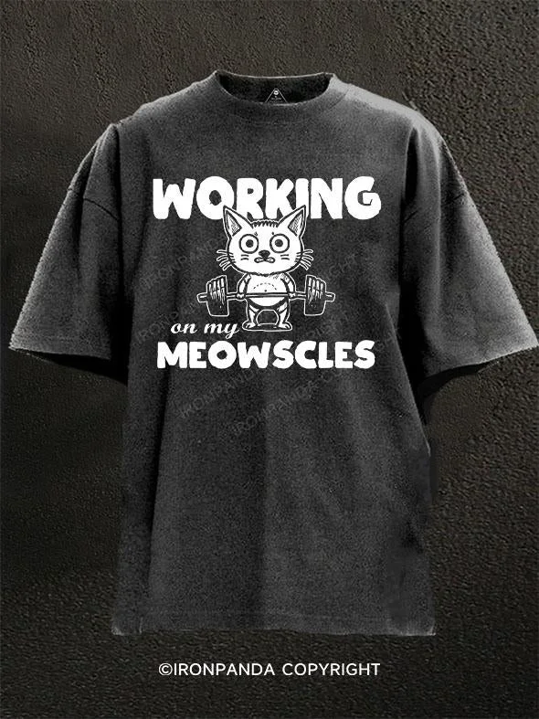 T-Shirt-Moisture-Wicking-Working on My Meowscles Washed Gym Shirt