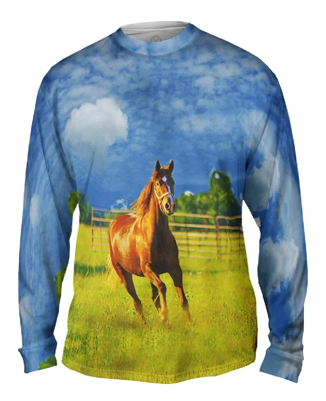 Long-Sleeve-Blue-Running Golden Horse