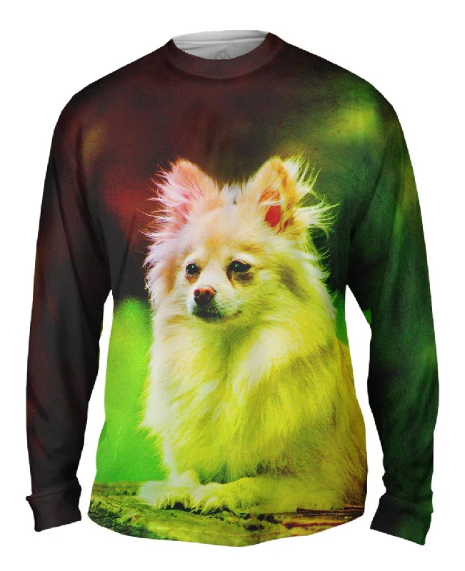 Long-Sleeve-Button-Up-Pomeranian Puppy