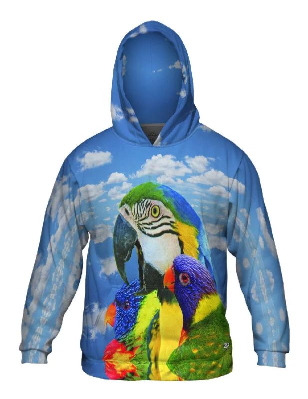 Hoodie-Gothic-Soaring Bird Collage