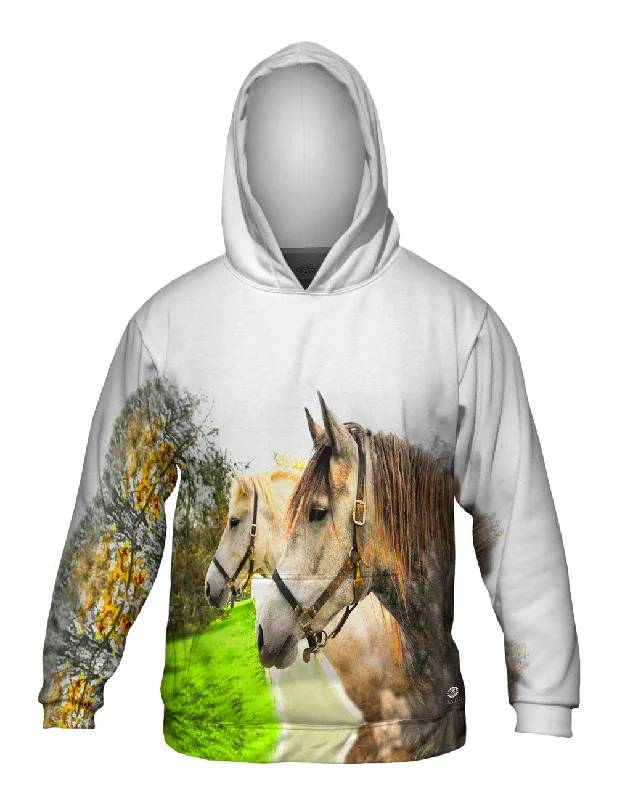 Hoodie-School-Horse Profile