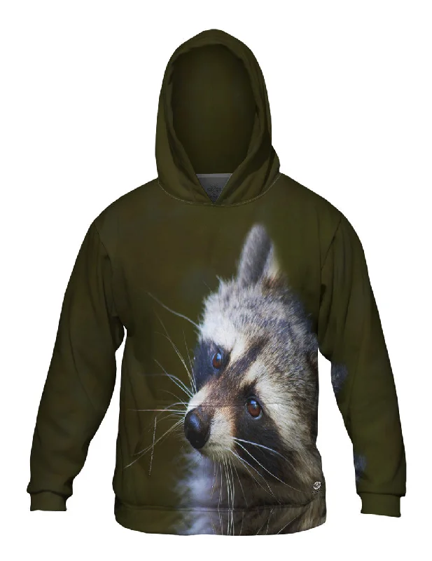 Hoodie-Cropped-Curious Brown Raccoon