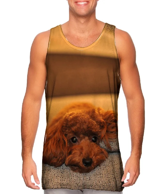 Tank-Top-Lightweight-Chocolate Toy Poodle Stare