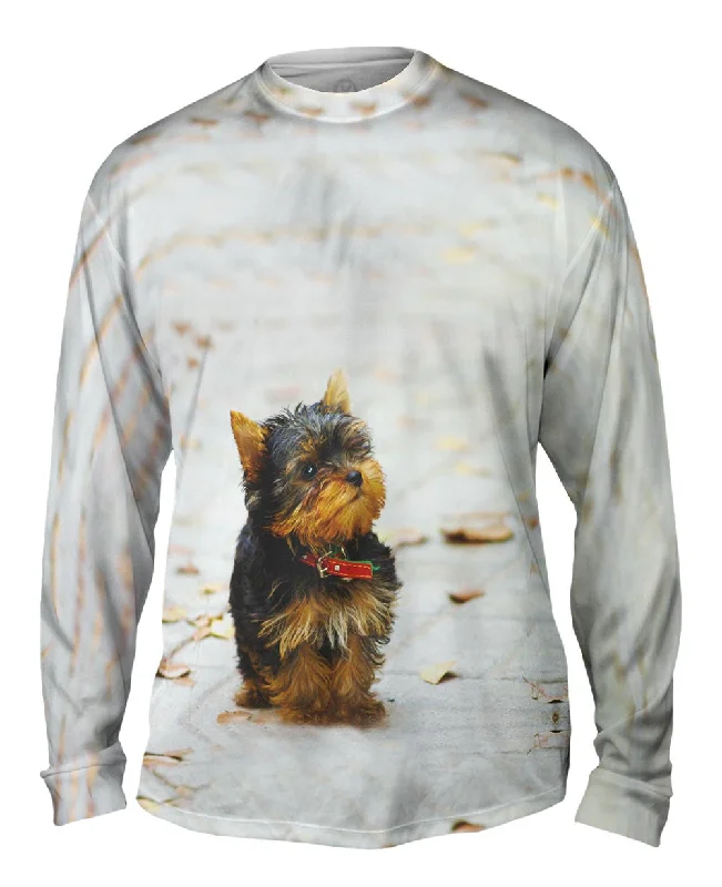 Long-Sleeve-All-Season-Curious Yorkie Puppy