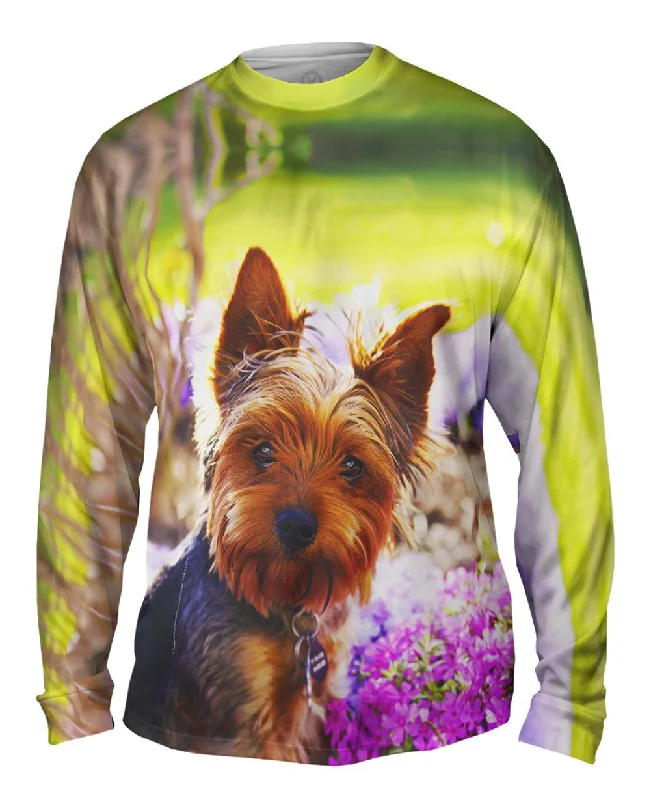 Long-Sleeve-Casual-Springtime Yorkie