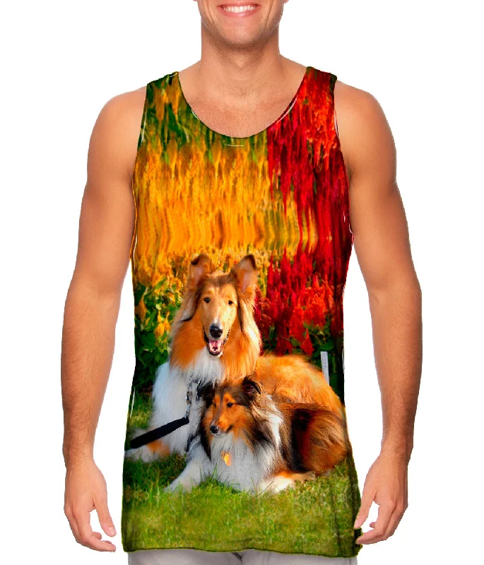 Tank-Top-Striped-Clever Sitting Collies