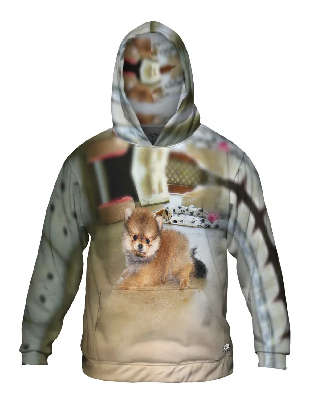 Hoodie-Surfing-Furry Toy Pomeranian