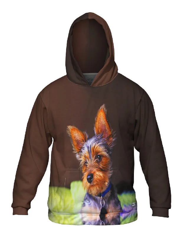 Hoodie-Casual-Yorkie In Deep Thought