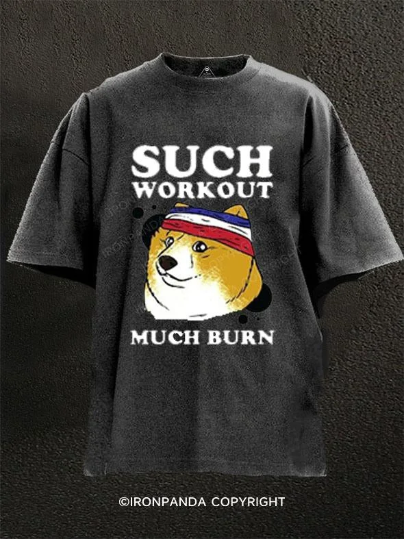 T-Shirt-Quick-Dry-Such Workout Much Burn Washed Gym Shirt