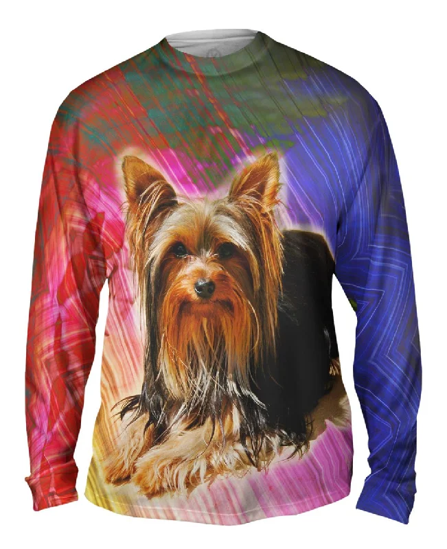 Long-Sleeve-Yellow-Brick Yorkie Puppy