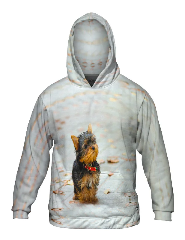 Hoodie-Loose-Fit-Curious Yorkie Puppy