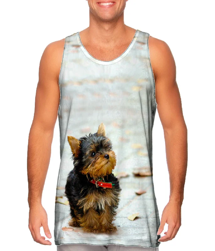 Tank-Top-Solid-Color-Curious Yorkie Puppy