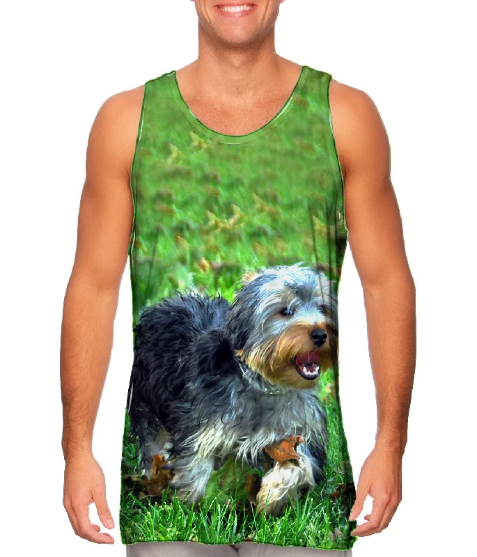 Tank-Top-Black-Curly Haired Yorkie Running