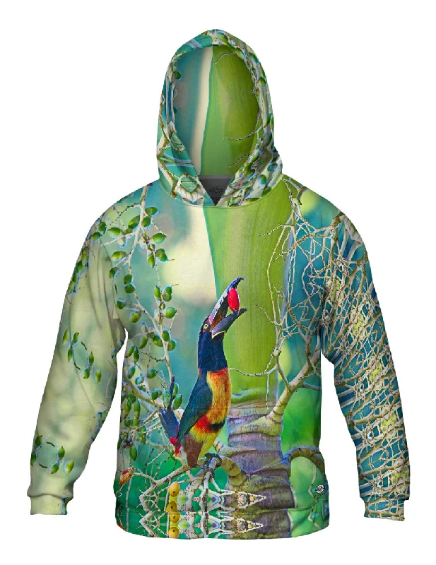 Hoodie-Loose-Fit-Fruits Aracari