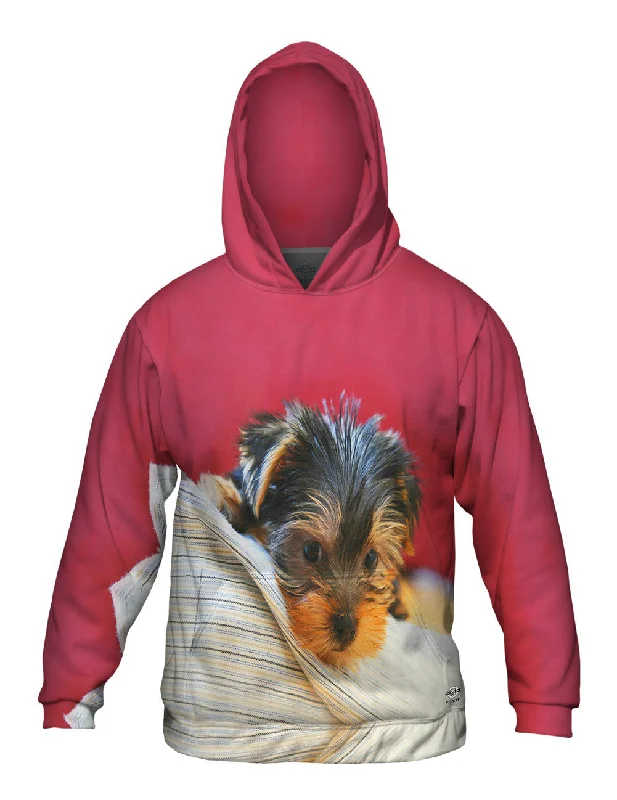 Hoodie-Training-Yorkie On Bed